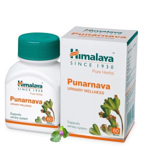 PUNARNAVA